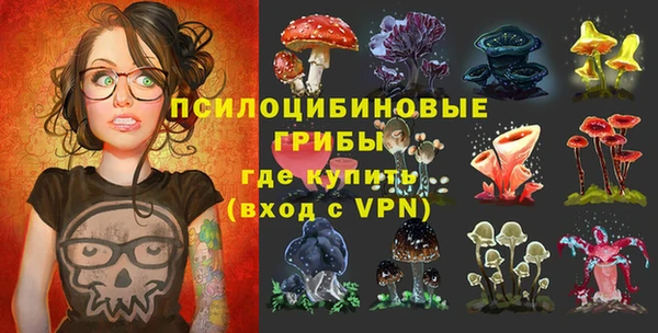 тгк Инта