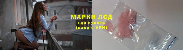 тгк Инта
