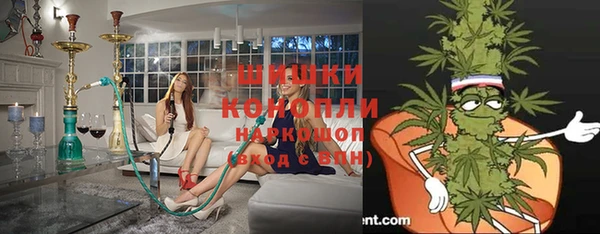 тгк Инта
