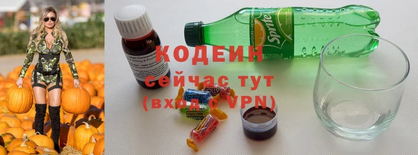 тгк Инта