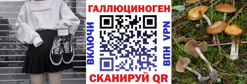 Купить закладки  Черемхово  Псилоцибиновые грибы мицелий 